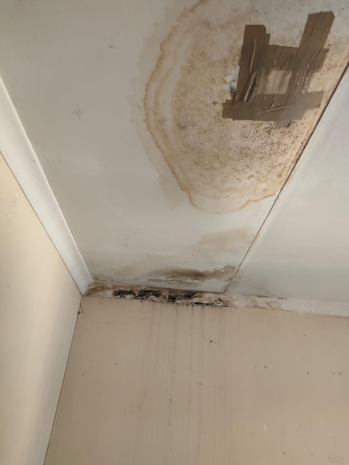 Water Damage Assessment