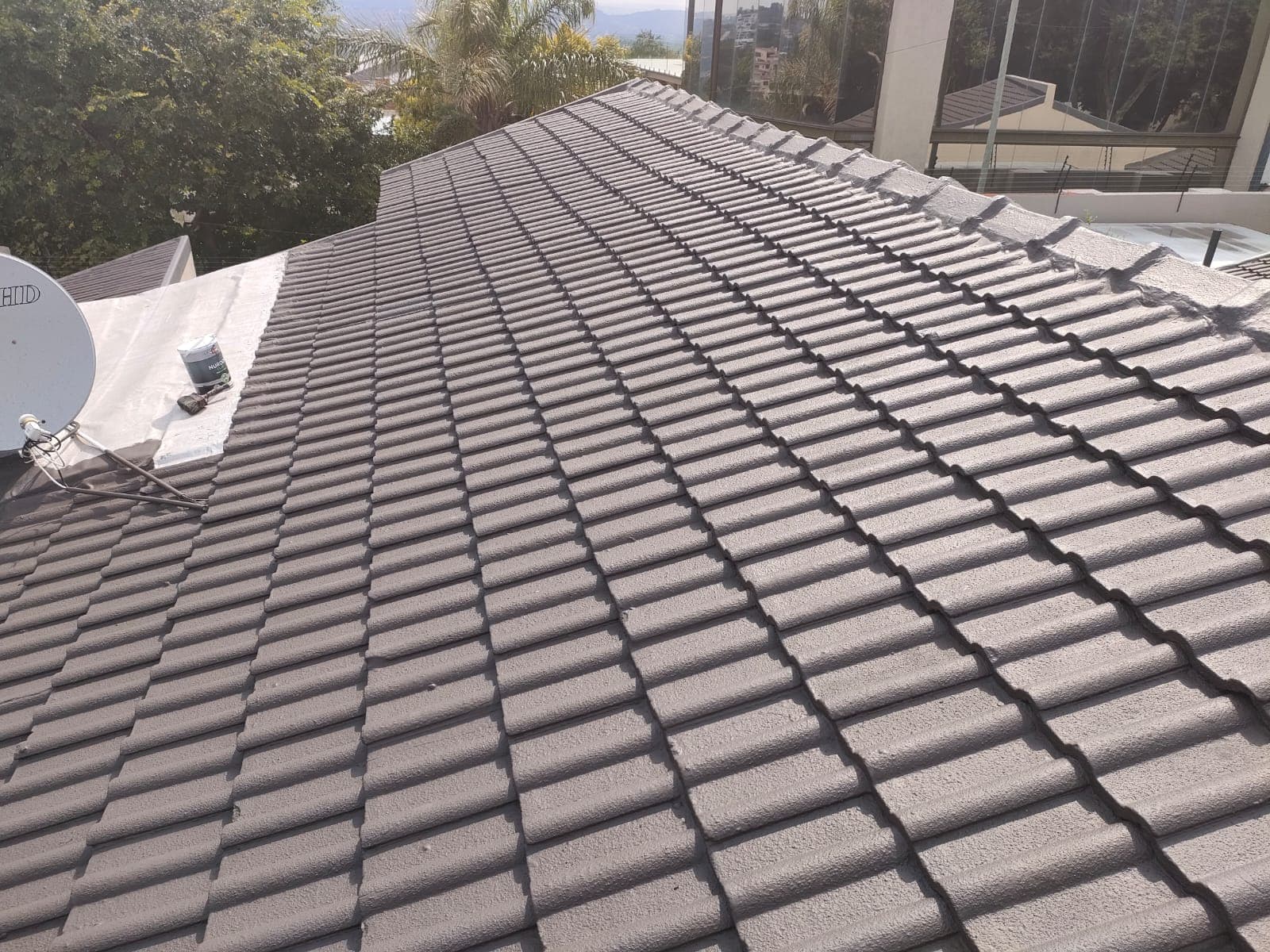 Roof Maintenance