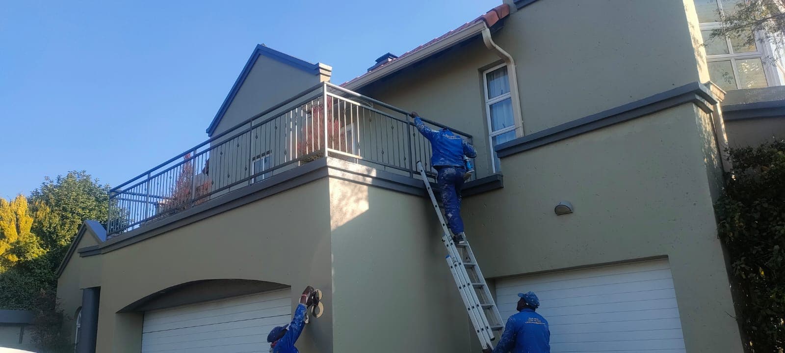 Exterior Team on Ladder